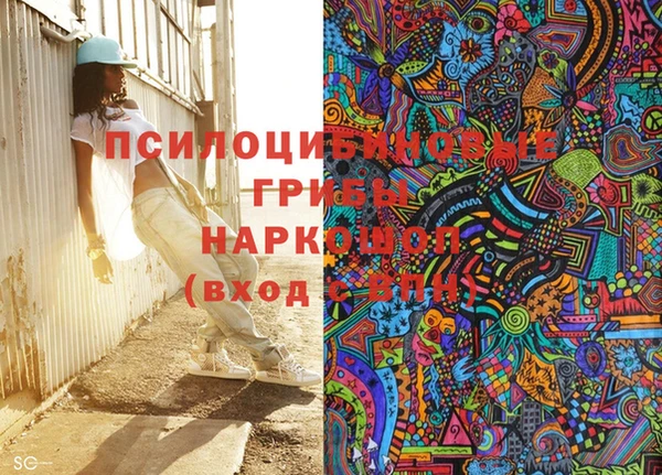 PSILOCYBIN Балабаново
