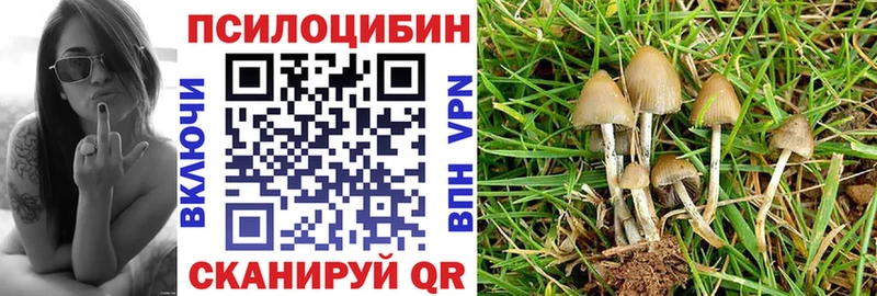 Псилоцибиновые грибы ЛСД  Красный Холм 